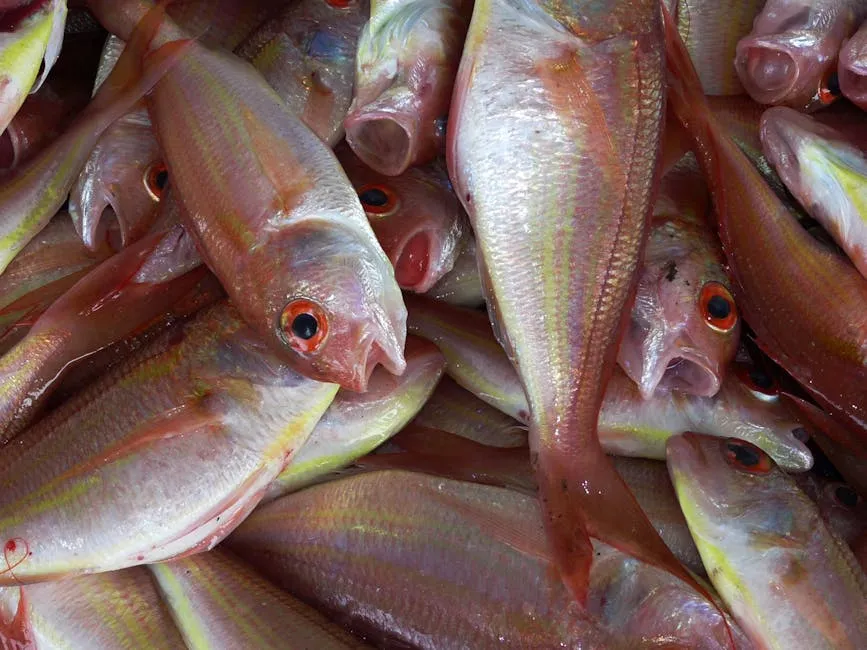 Laufey: Reviving Jazz with a Primal Twist and a Splash of Red Snapper