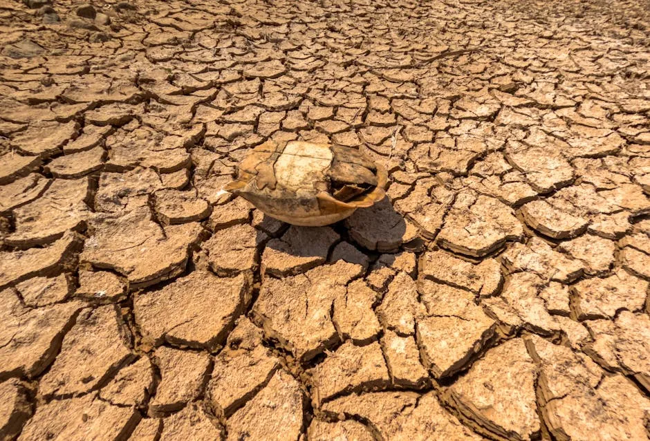 Europe's Heatwave: Records Shattered Amidst Climate Crisis